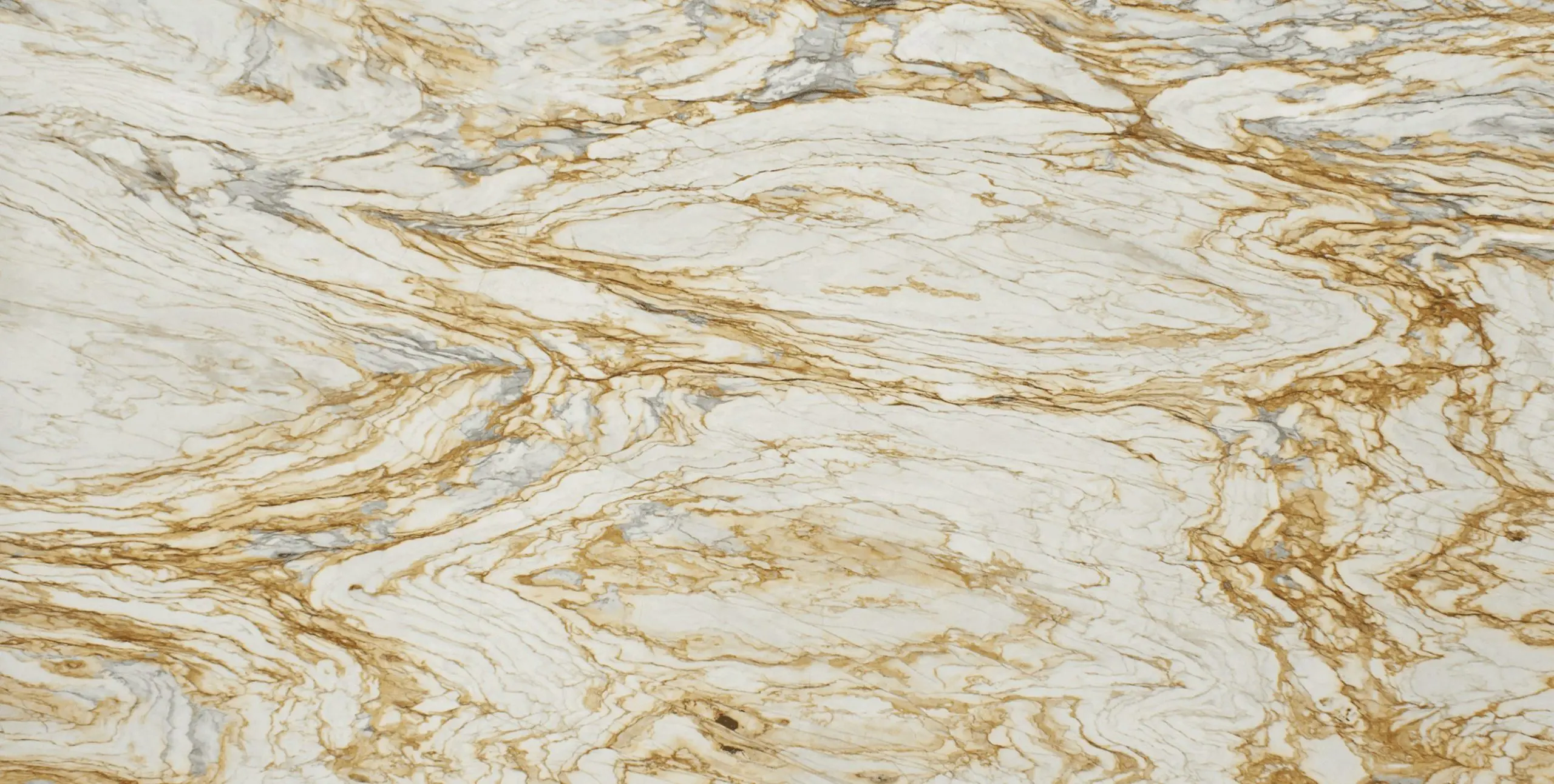calacatta_oro1